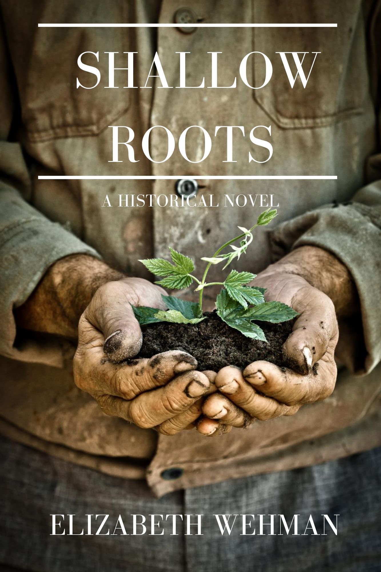 Shallow Roots - ebook cover (6 × 9 in)